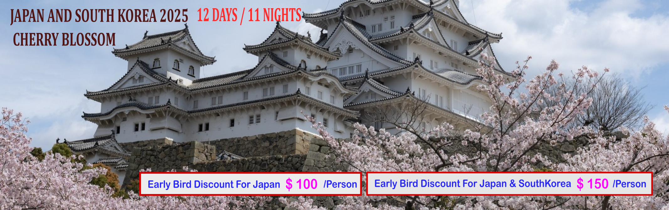 Japan Cherry Blossom with Air Tours Holidays