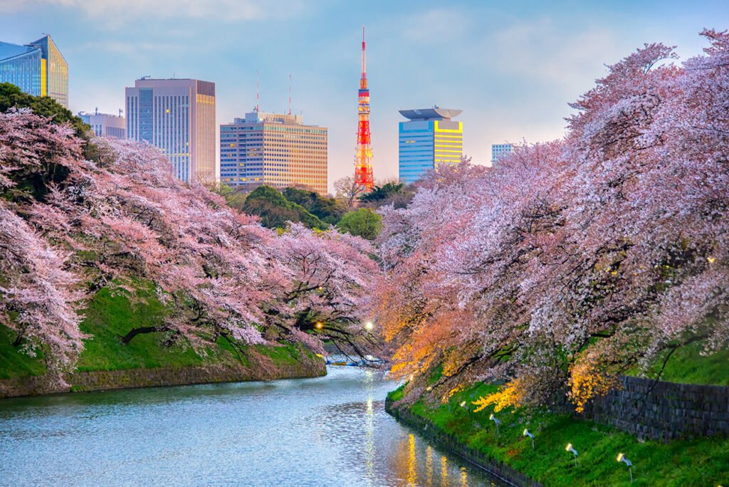 Chidorigafuchi-park-with-Tokyo-Tower