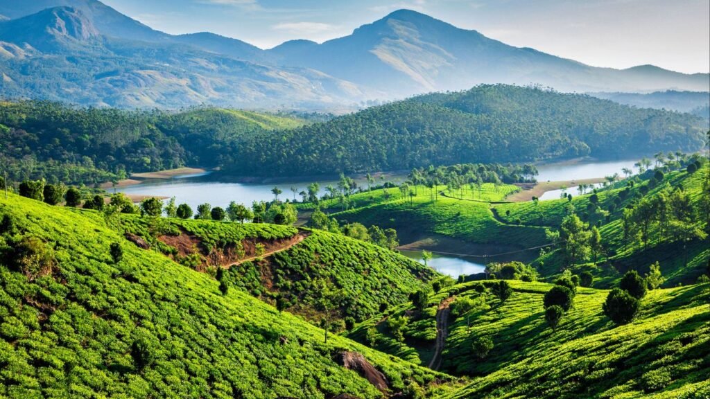 Img_Best of Kerala_Munnar