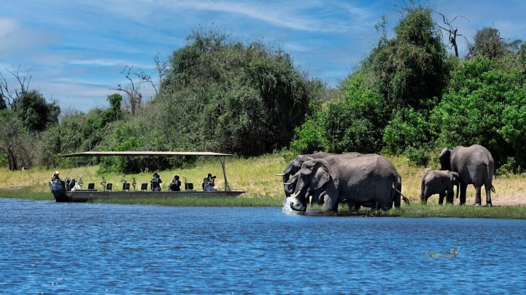 mg_South Africa with Victoria Falls & Kruger National Park_Bostwana_Chobe National Park 2