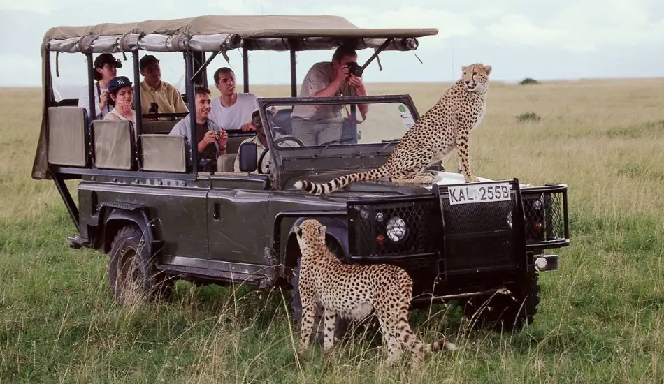 Amboseli | Nanyuki | Naivasha | Masai Mara | Nairobi