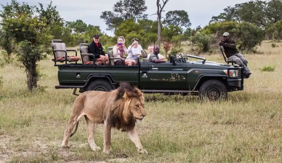 Africa